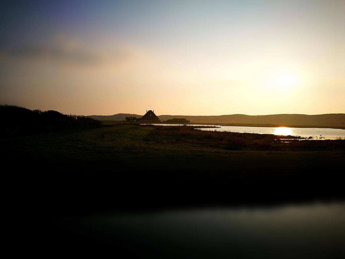 De Hut, In Natuurgebied En Vlakbij Het Strand Otel Callantsoog Dış mekan fotoğraf